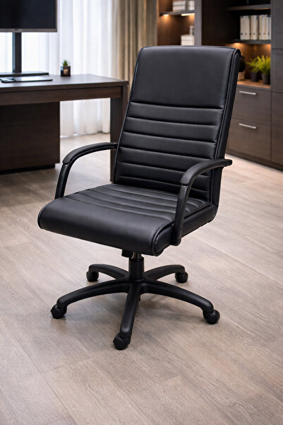 sadık ofis Staryo Yönetici Koltuğu–Ergonomik Bel Destekli, Ayarlanabilir Yüks...