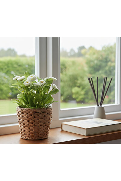 IKEA Frıdfull Hasır Saksı 12 Cm - Su Sümbülü