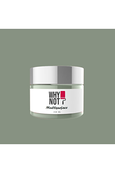 WHY NOT Sage Multisurface Kendinden Vernikli Akrilik Boya 250ML