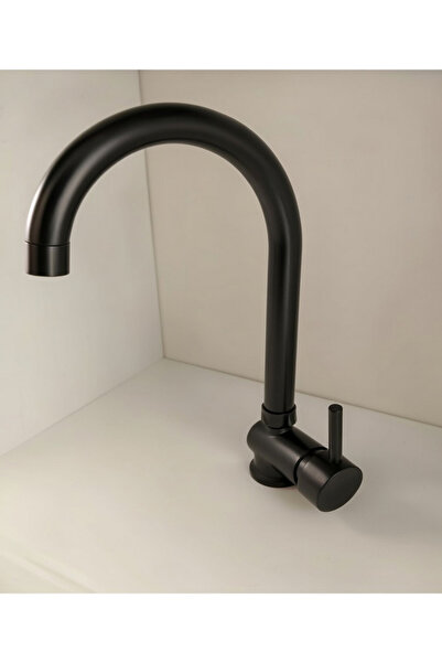 petra Evi̇ye Bataryasi Black Swan