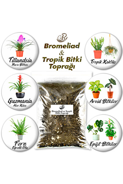Gurme Bitki Bromeliad Ve Tropik Bitki Toprağı - 1 Litre - En Yüksek Kalite Öz...