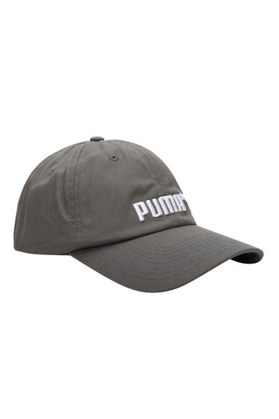 Puma ESSENTIALS No. 2 Logo Şapka