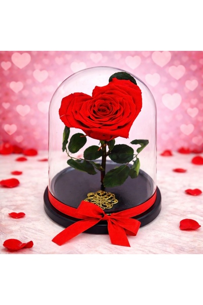 velve Cupola with Cryogenically Frozen Rose in the Shape of Cupid's Heart, Red