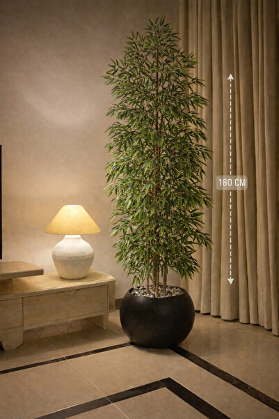 CENTRHOME شجرة البامبو بطول 160 بمركن مكور