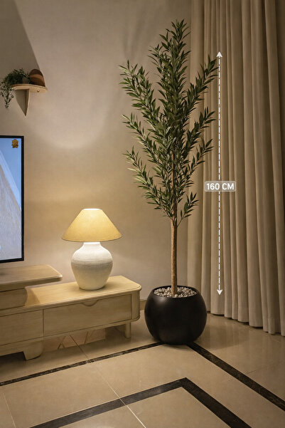 AMZOE شجرة زيتون بطول 160 بمركن مكور