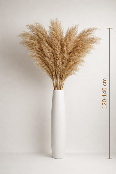 Pampas Aura Pampas Otu 10’lu Demet | 120–140cm Uzun Boy | Doğal Kurutulmuş Pa...