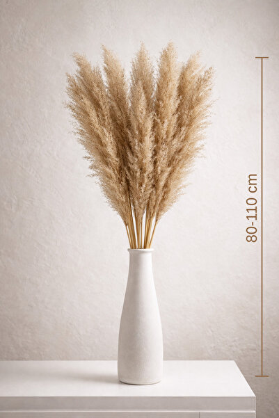 Pampas Aura Pampas Otu 10’lu Demet | 80–110cm Uzun Boy | Doğal Kurutulmuş Pam...