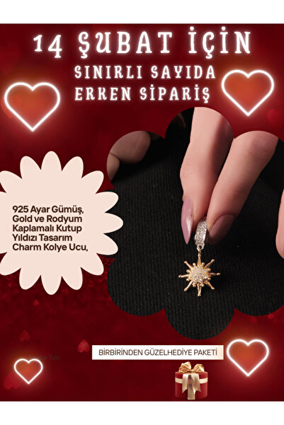SUNSHINE 925 Ayar Gümüş, Gold ve Rodyum Kaplamalı Kutup Yıldızı Tasarım Charm...