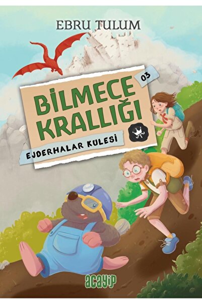 Acayip Yayınları Ejderhalar Kulesi / Bilmece Krallığı - 3 - Acayip Kitaplar