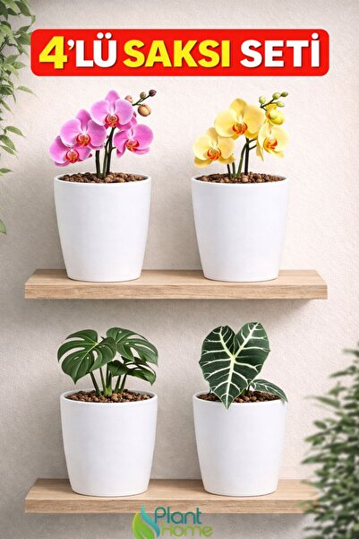 Plant Home Power Mix Dekoratif Beyaz Orkide Saksısı - 4 Adet Set Fiyatlı -12 ...