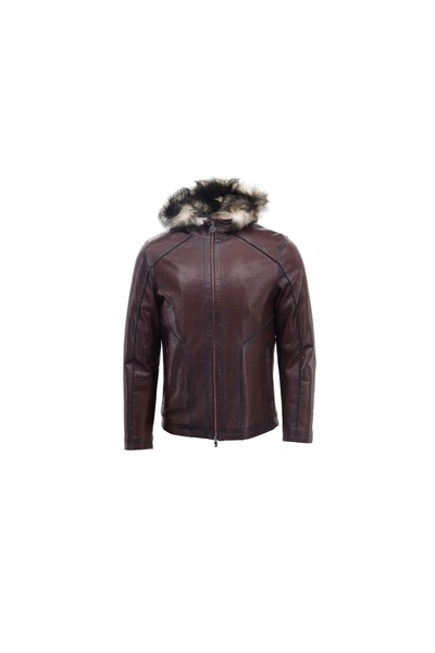 Giovane Gentile Deri Mont Kaban