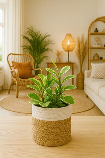 ModaCardin Decorative Jute Straw Cobalt Warm Towel Holder Organizer 25X25 cm