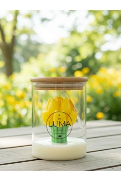 Lights by Luma Scented candle - Tulip Dream