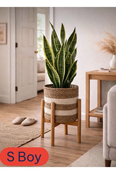 ADA Ahşap oyma ve çerçevecilik Standlı Hasır Saksı