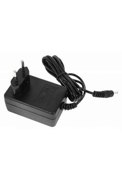 OEM Electric car charger, voltage 24V, 500MA