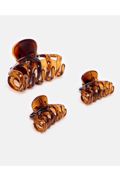 REDTAG Women Brown Hair Clip Set