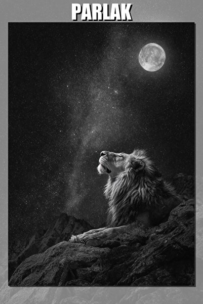 Lion - Dekoratif Aslan Temalı Çerçevesiz Duvar Posteri - Duvar Kağıdı Yüksek Kaliteli Baskı