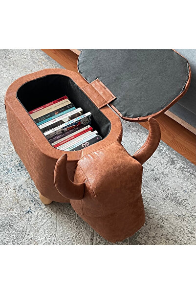 zooturak hayvanları sandıklı ve sandıksız puflar