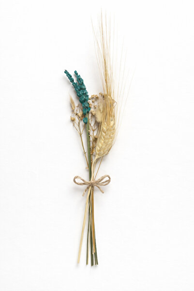 nijiartdesign Glass Tube Vase, Carefully Crafted Dried Flower Compatible with...