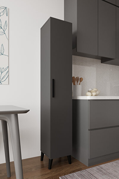 AYMOBSAN Sırma Tek Kapılı Mutfak Dolabı Çok Amaçlı Dolap - Antrasit