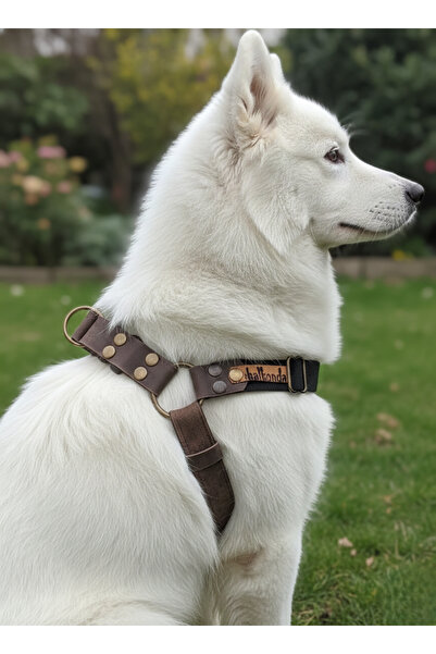 balkonda طوق للكلاب من فصيلة متوسطة وكبيرة الحجم، حبل قابل للتعديل باللونين ا...