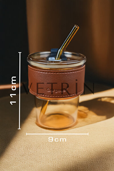 VETRİN 450ml Isıya Dayanıklı Pipetli Borosilikat Retro Deri Şeritli Bardak