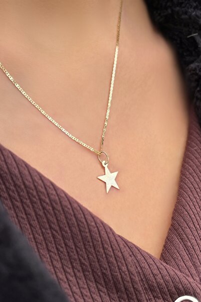 Altınaşkı Parlak Zincirli Yıldız Altın Kolye