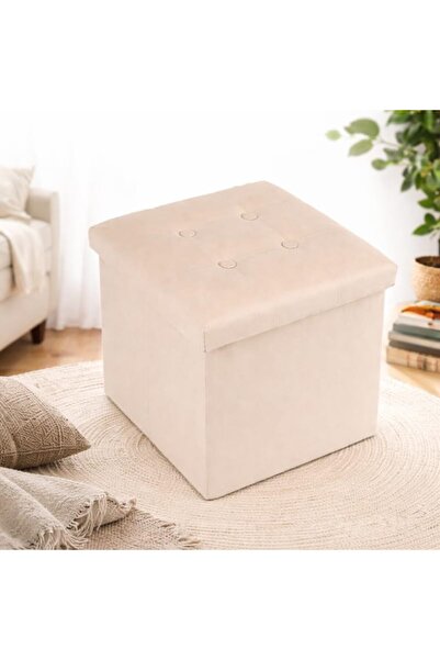 Generico BLUEBERG Folding Pouf Container 38x38x38 cm