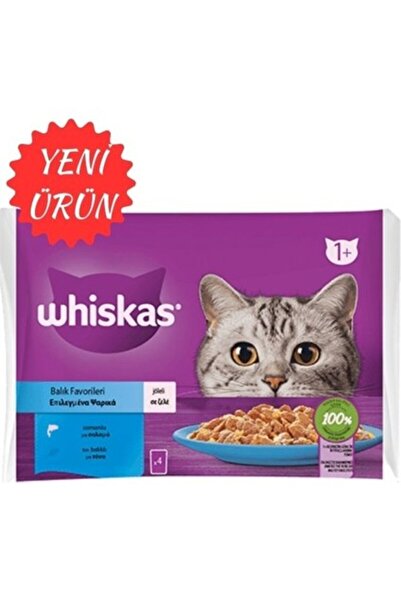 Whiskas Ctn Pure Delight Balık Favorileri Somonlu Ton Balıklı 4X85 gr (13 Adet)