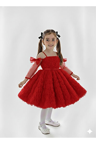 shop Girl's Red Rose Dress, Girl's Evening Dress, Girl's Graduation Dress