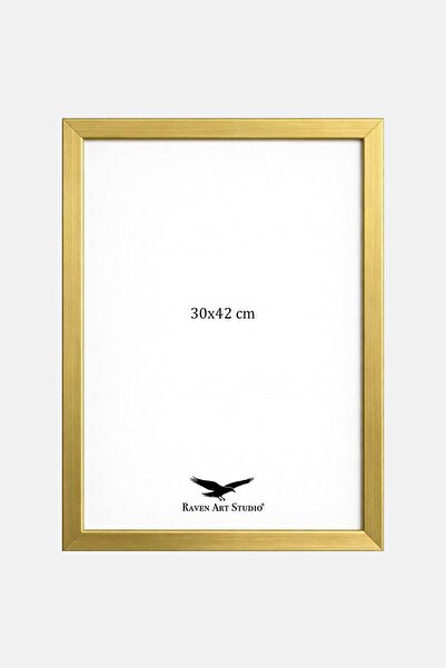 Raven Art Studio Ermitaj A3 Size 30cm X 42cm Gold Picture Photo Document Post...