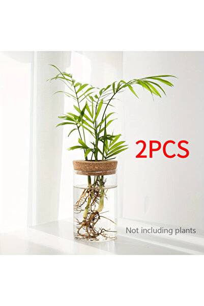 Choice4 6.5 × 10 سم، قطعتان، قطعة واحدة، مزهرية زجاجية لزراعة النباتات، مناسب...