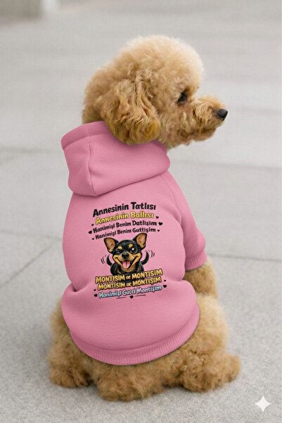 PetiliDünya Annesinin tatlişi figür köpek kıyafeti kedi kıyafeti sweat hoodie