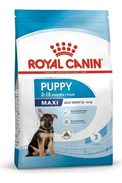 Royal Canin Maxi Puppy Büyük Irk Yavru Köpek Maması 10 Kg -TY5611136