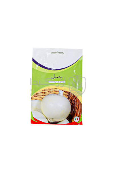 Orkida بذور البصل الأبيض