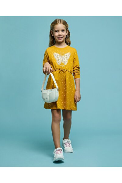 R&B فستان مطبوع بقصة A-Line مع ياقة دائرية وأكمام طويلة