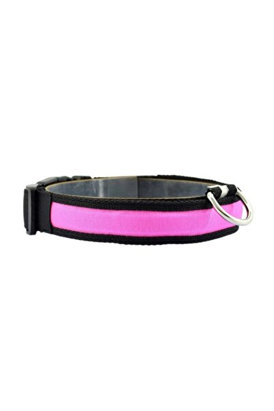 Petzz Lighted Adjustable Flashing Cat and Dog Collar Pink 40-48 cm / 2.5 cm