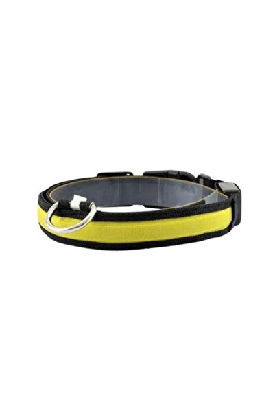 Petzz Lighted Adjustable Flashing Cat and Dog Collar Yellow 35-43 cm / 2.5 cm