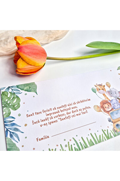 Creative Kappa Set 20 Plicuri bani botez junglă P3