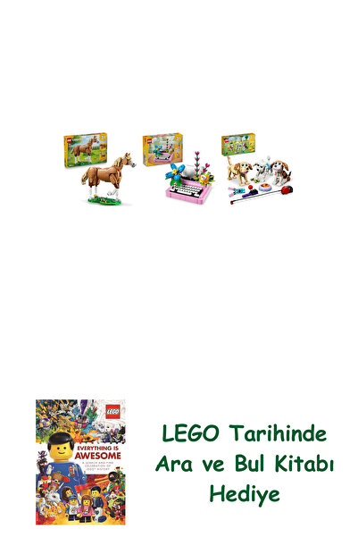 Bloomsbury مجموعة كرياتور 192 (31166 + 31169 + 31137) + كتاب البحث والبحث كهدية