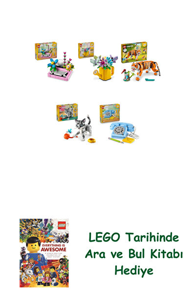 Bloomsbury مجموعة كرياتور 364 (31169 + 31149 + 31129 + 31163 + 31174) + كتاب ...