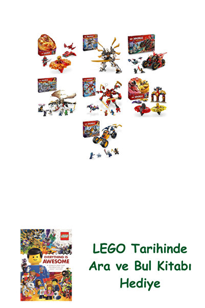 Bloomsbury مجموعة نينجاغو 589 (71823 + 71821 + 71844 + 71809 + 71812 + 71826 ...