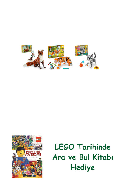 Bloomsbury مجموعة كرياتور 178 (31154 + 31129 + 31163) + كتاب البحث والبحث كهدية