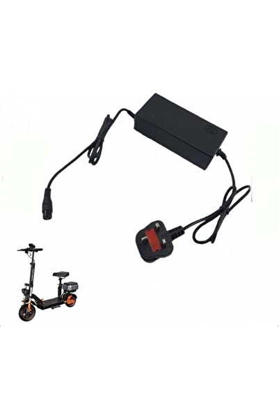 Golden Star 48V charger for charging monster scooters with smart charging tec...