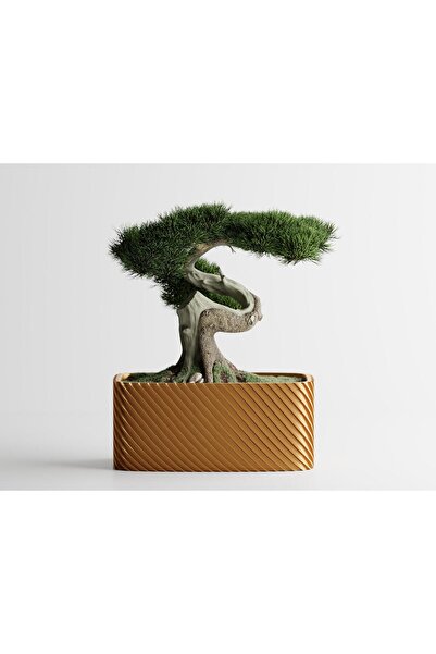 Sani Decorative pot Sani, Bonsai, small 164 x 64 x 50 mm, Gold