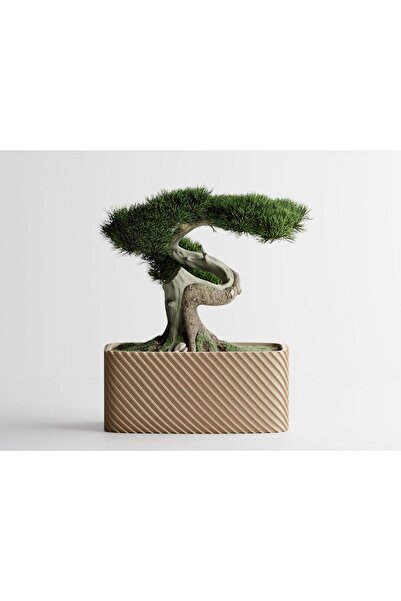 Sani Decorative pot Sani, Bonzai, large 185 x 103 x 80 mm, Sand Matt