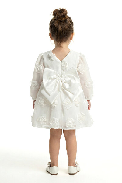 Baby Animals Rochie pentru fetiță Rochie pentru fetiță cu trandafiri Petrecer...