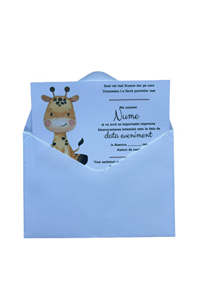 OEM Wedding Invitation Set M58, Cardboard, Multicolor, 10x15 cm, 10 pcs