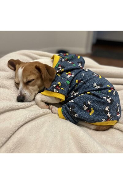 MİNİŞ PET BUTİK بدلة كلب من القطن الممشط من مينيش ميكيلي مقاس XL (مناسبة للوز...