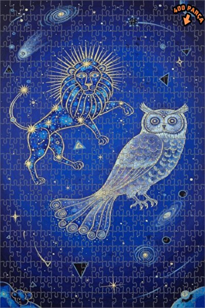 Teona Ahşap لوحة زيتية فنية للفيل والبومة بتصميم المجرة، لوحة خشبية مؤطرة بطب...